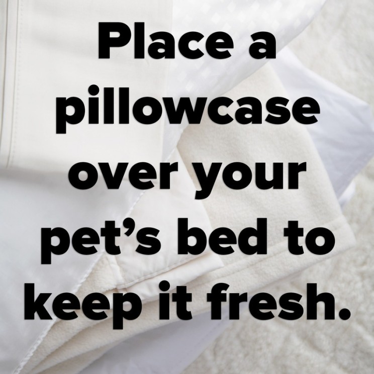 pillowcase