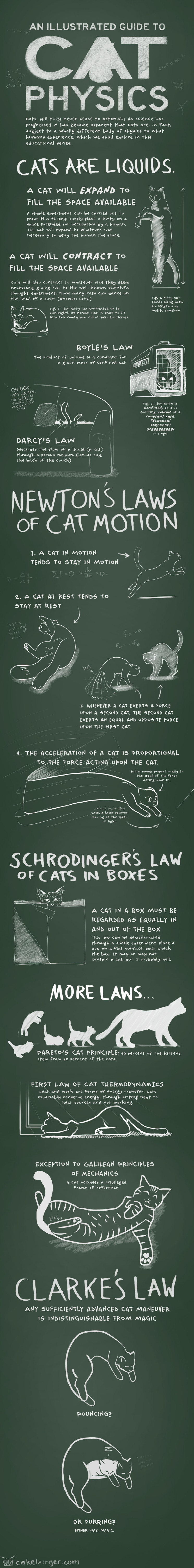 cat-physics