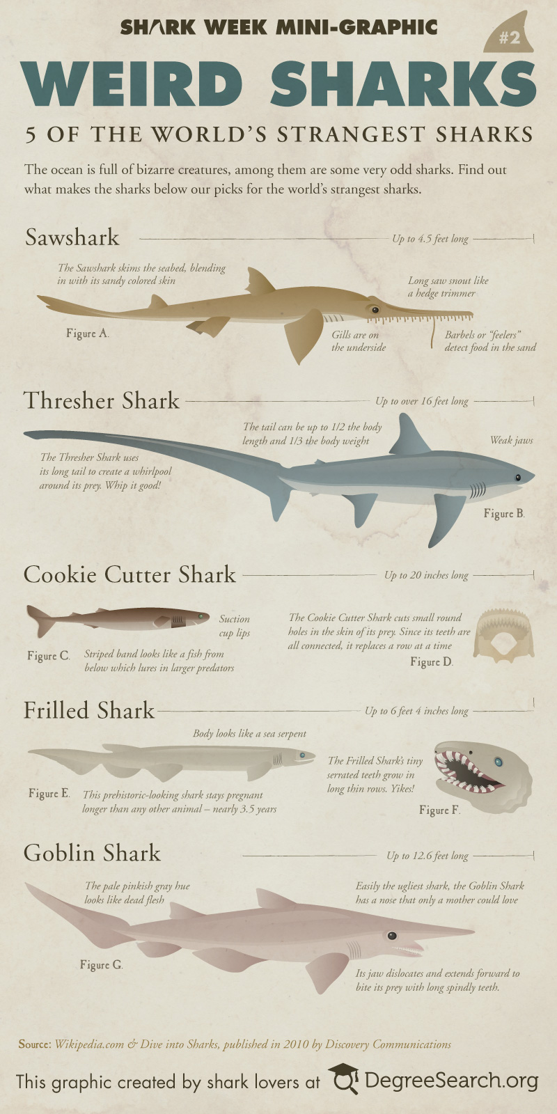 Weird Sharks For Shark Week Infographic Alltop Viral