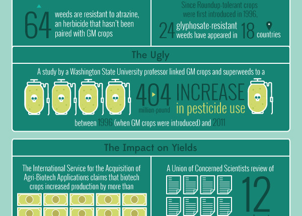 pros and cons of gmo crops