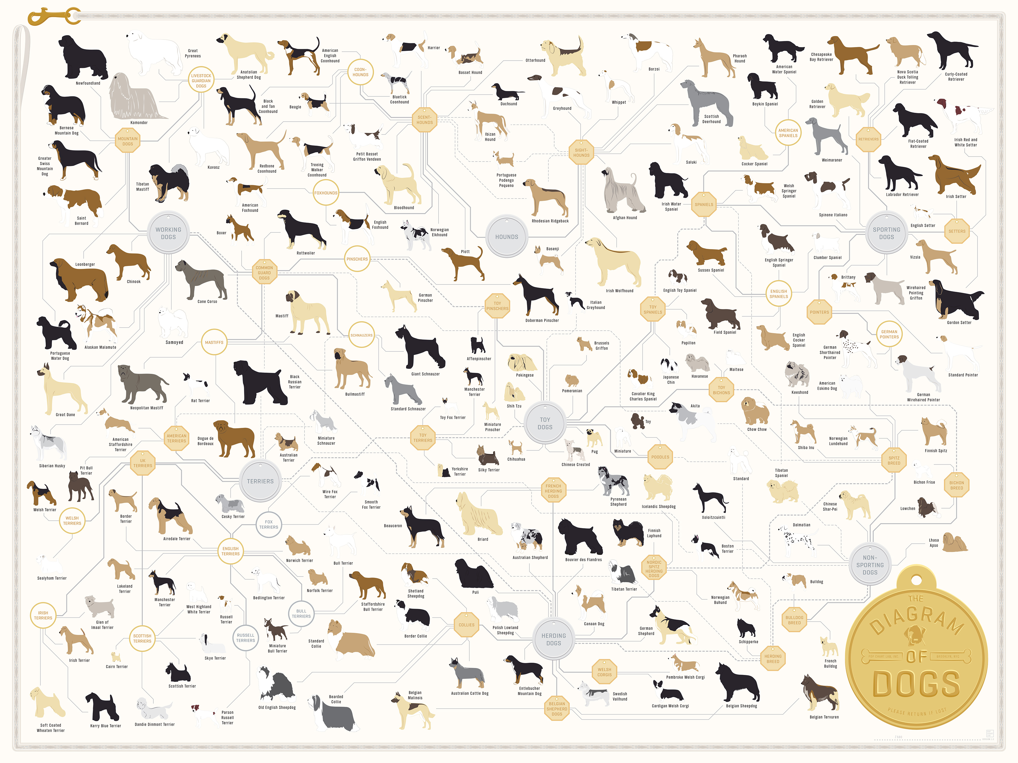Dog Genealogy Chart