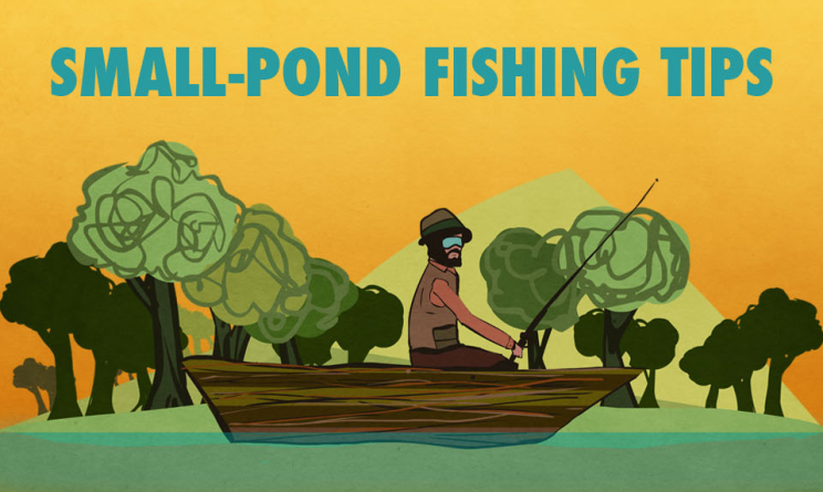 Small-pond fishing tips [infographic] - Alltop Viral