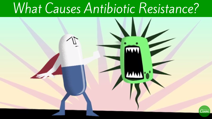 An animation explaining antibiotic resistance  - Alltop Viral