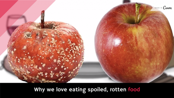 why-we-love-eating-spoiled-rotten-food-video-alltop-viral