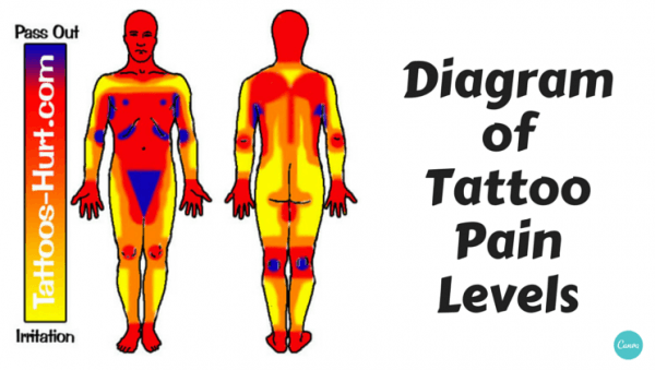 Diagram of tattoo pain hotspots [chart] - Alltop Viral