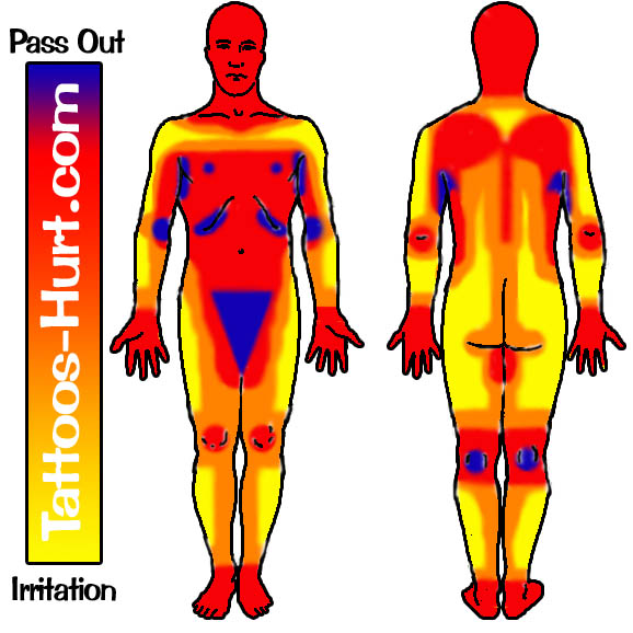 Diagram of tattoo pain hotspots [chart] - Tattoo Pain Areas