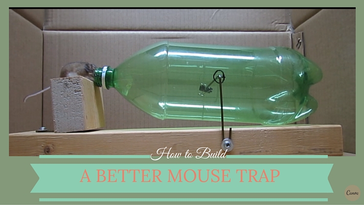 How To: Build A DIY Humane Mouse Trap