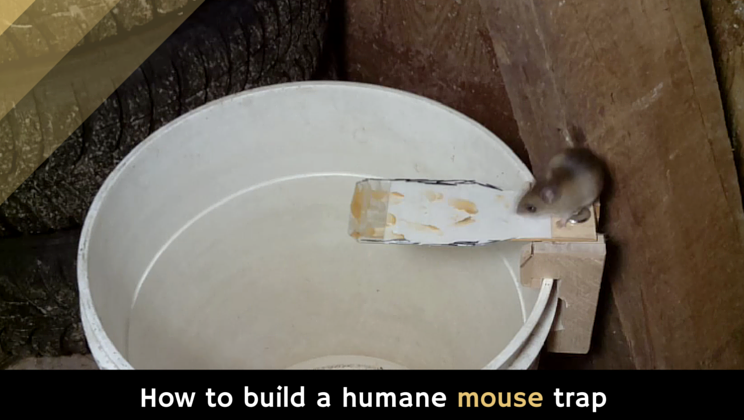 How To Build A Humane Mouse Trap Alltop Viral - Making A Diy Humane Mouse Trap