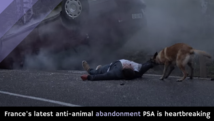 France's latest anti-animal abandonment PSA is heartbreaking [video