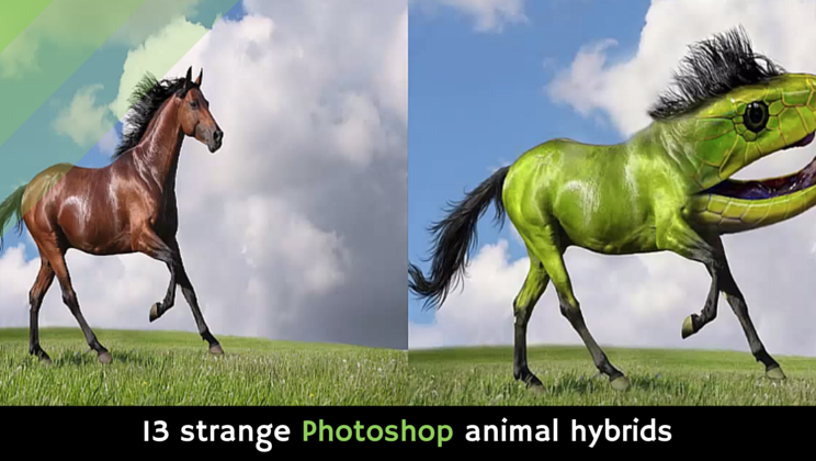 13 strange Photoshop animal [video] - Viral