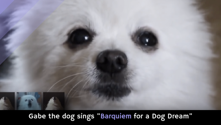 Gabe The Dog Sings Barquiem For A Dog Dream Video Alltop Viral