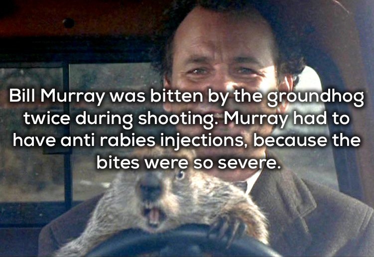 17 fun facts about Bill Murray's most famous films - Alltop Viral