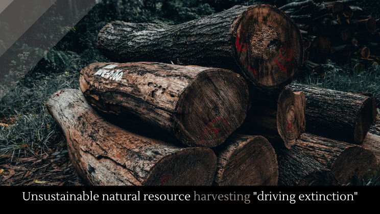 Unsustainable Natural Resource Harvesting driving Extinction Alltop 